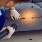 Como acabar com as baratas em casa no Japão: produtos e dicas práticas