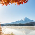 Renovação de visto Japão 2025: quanto custa mudar ou renovar o status de residência