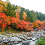 Aprecie as folhas de outono em Aichi – Korankei Aprecie as folhas de outono em Aichi – Korankei