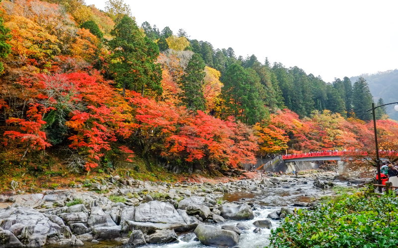 - Trabalhos.jp Kōrankei: um dos mais belos locais para ver as folhas de outono em Aichi