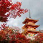 Japão estuda triplicar a taxa de saída do país para combater excesso de turismo Japão estuda triplicar a taxa de saída do país para combater excesso de turismo