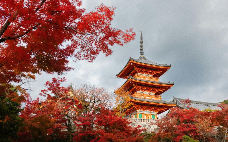 - Trabalhos.jp taxa de turismo no Japão