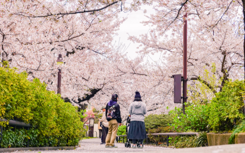 - Trabalhos.jp Shunbun no Hi: o dia que a primavera chega ao Japão