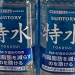 Tokusui: a água no Japão que promete ajudar a reduzir gordura corporal