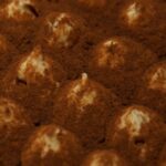 Maior tiramisu do mundo entra para o Guinness